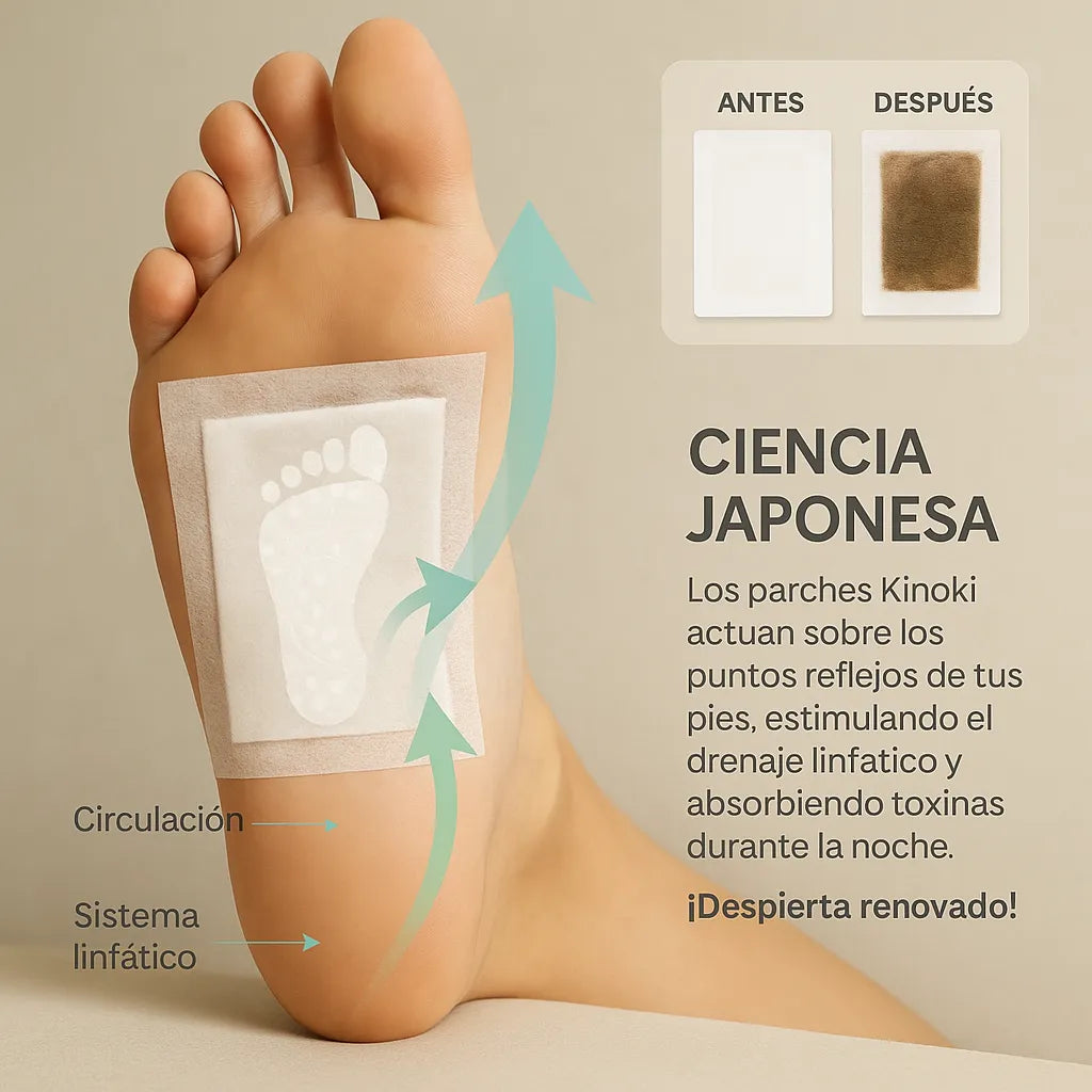Parches Desintoxicantes Kinoki